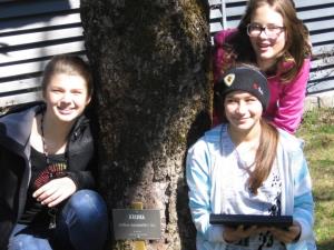 Dejavnosti biološkega krožka 3